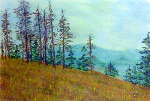 Krkonoše